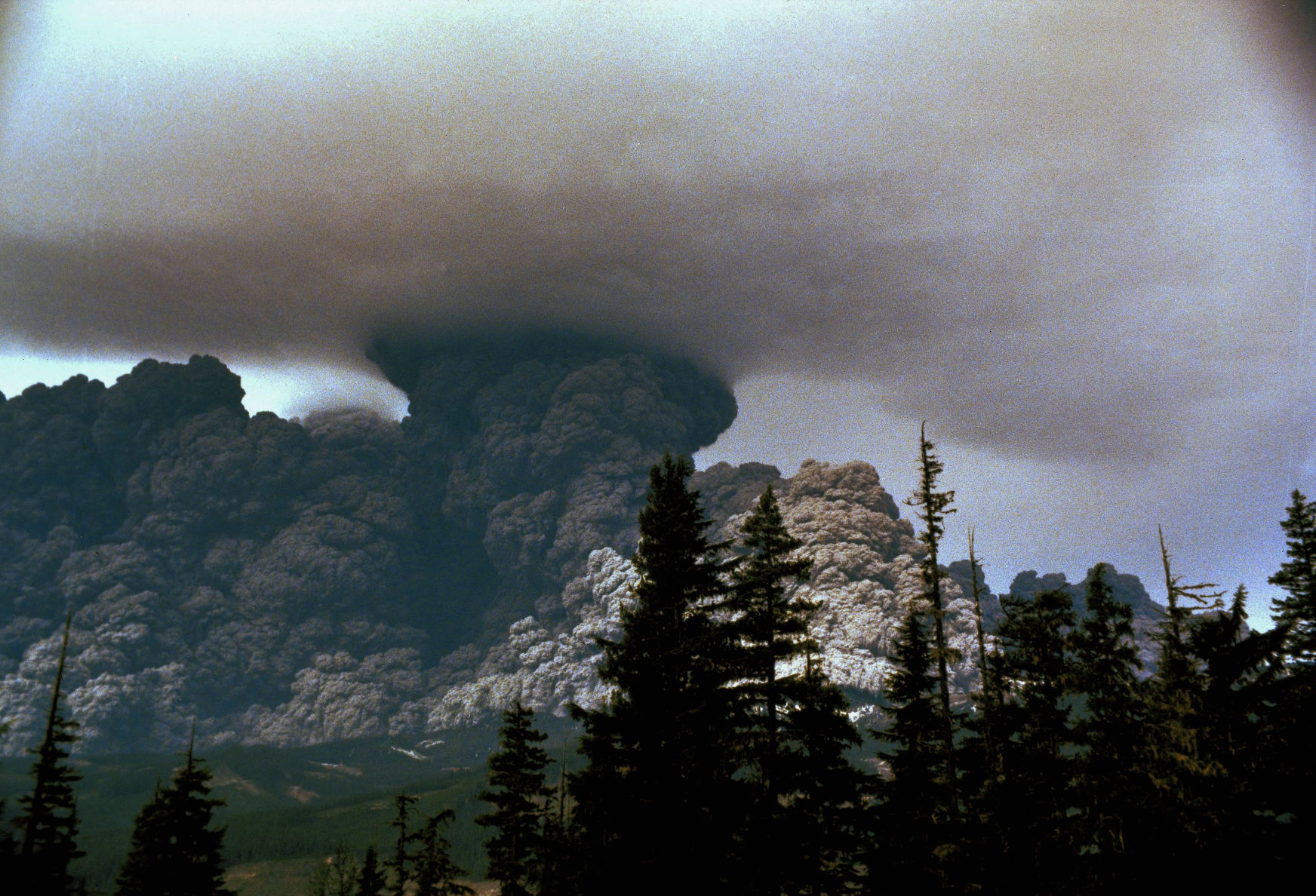 May 18, 1980